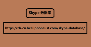 Skype 数据库
